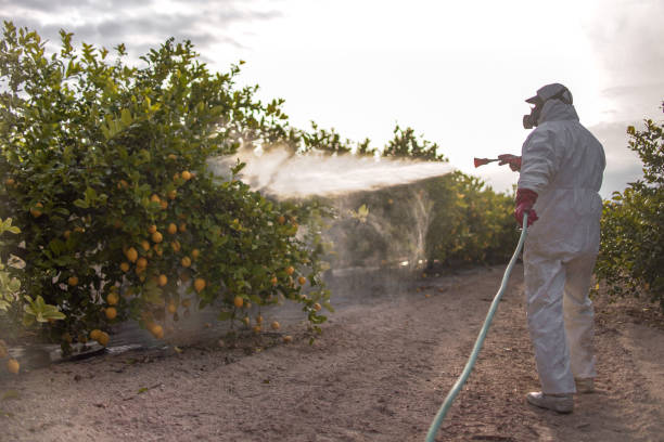 Best Exterminator Services  in Carrabelle, FL