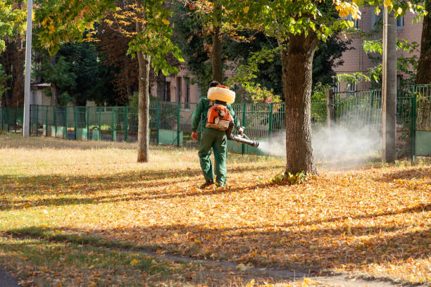 Best Termite Control Services  in Carrabelle, FL