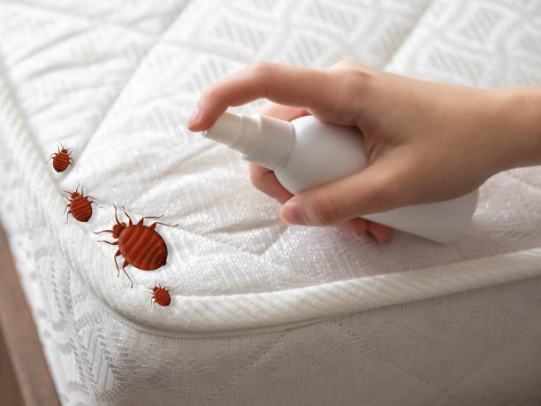Best Mosquito Control Services  in Carrabelle, FL