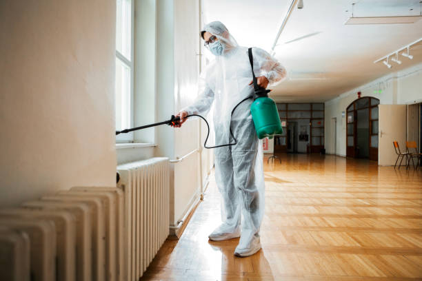 Best Affordable Pest Control Services  in Carrabelle, FL