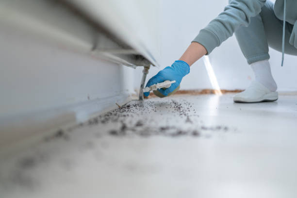 Trusted Carrabelle, FL Pest Control Experts