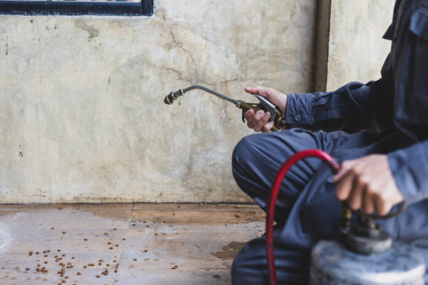 Best Local Pest Control Services  in Carrabelle, FL